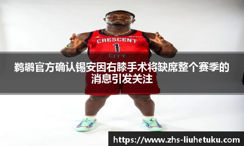 鹈鹕官方确认锡安因右膝手术将缺席整个赛季的消息引发关注